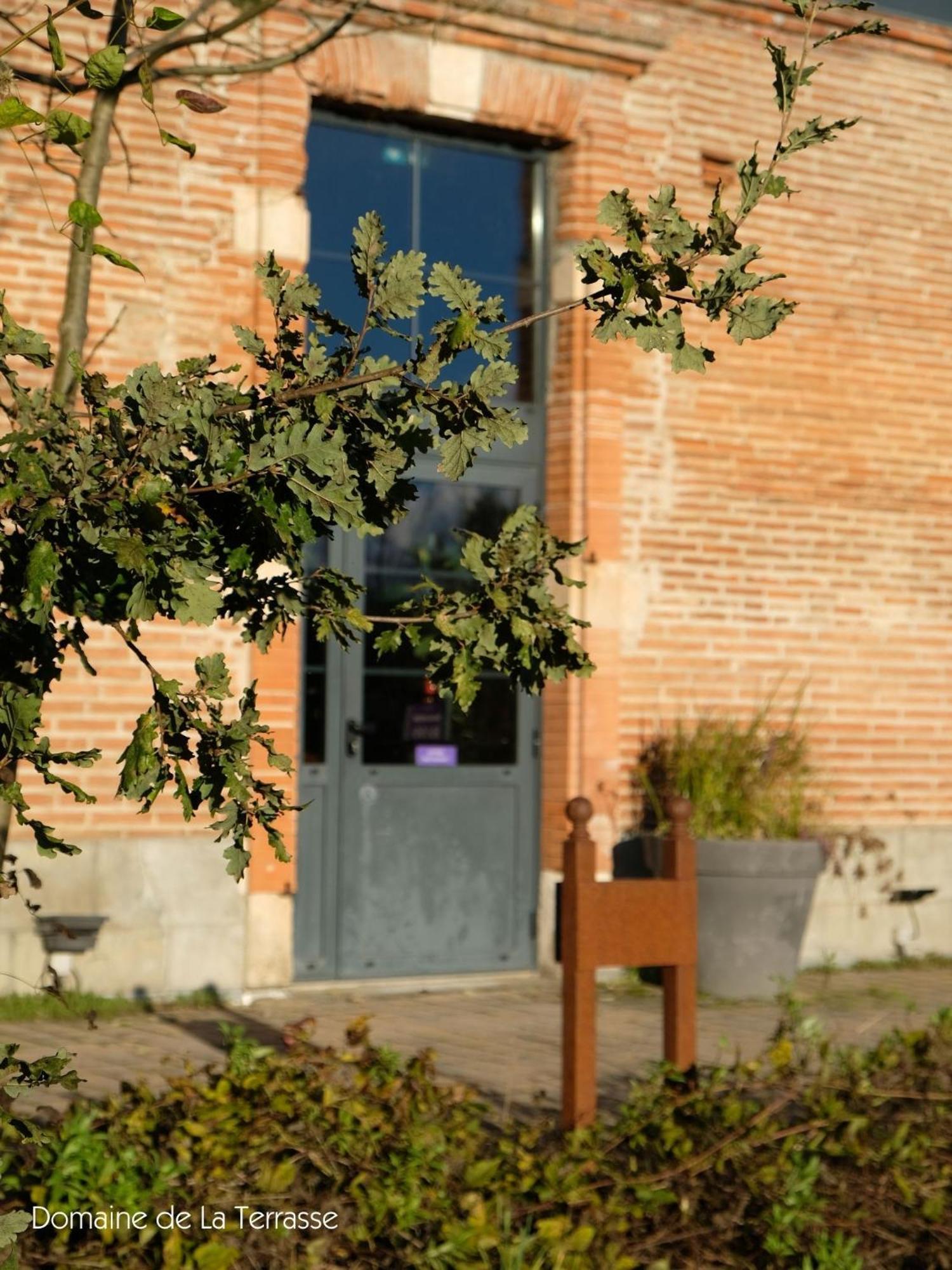 Domaine De La Terrasse
